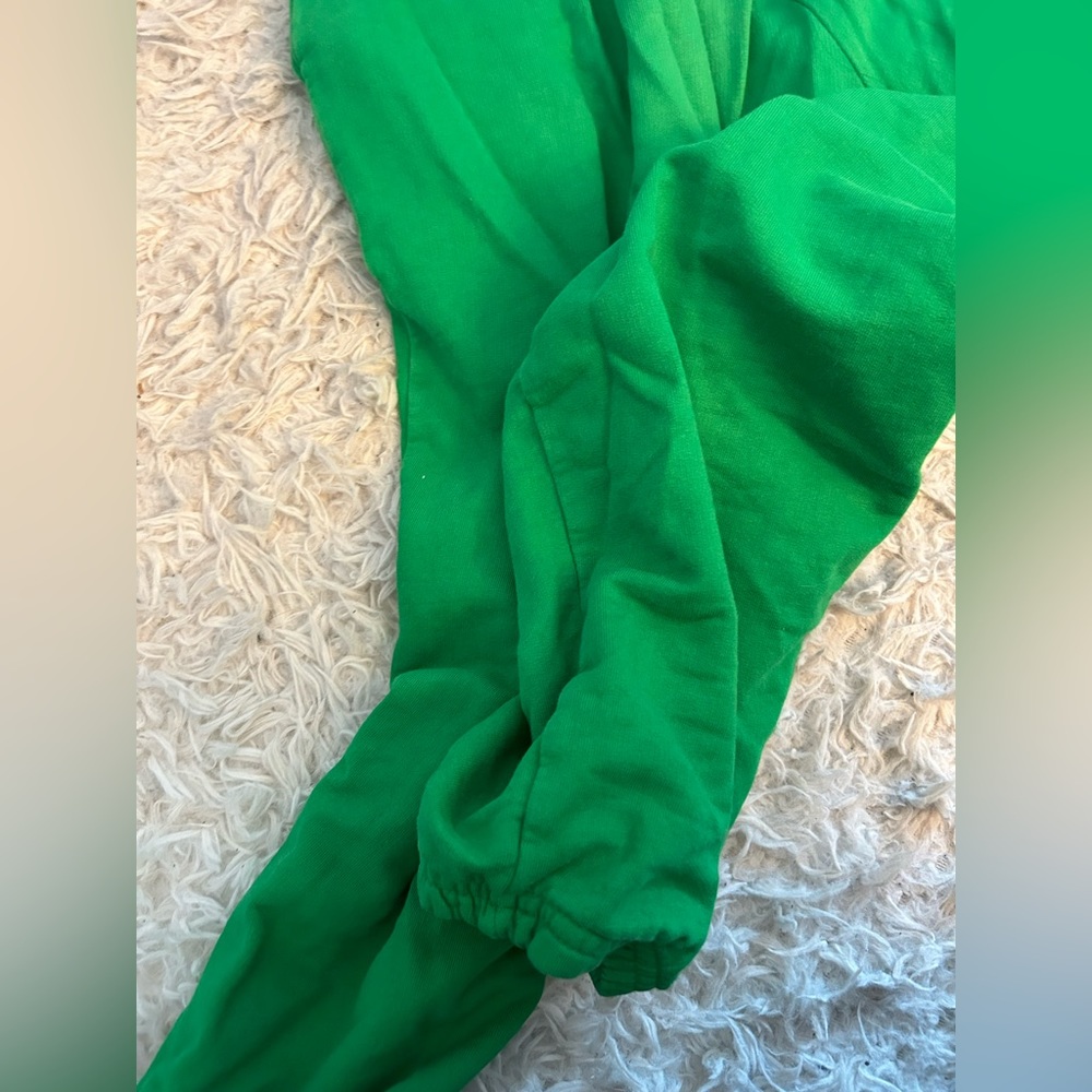 Talentless Scripted Logo Green Adjustable Sweatpa… - image 7